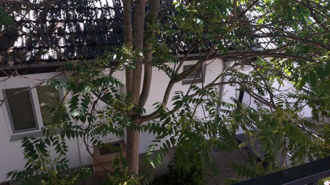 Apartment Eurho Ösek Dış mekan fotoğraf